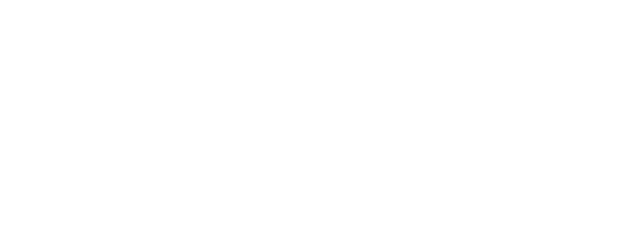 pyxartis wordmark